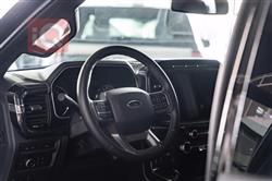 فۆرد F-150